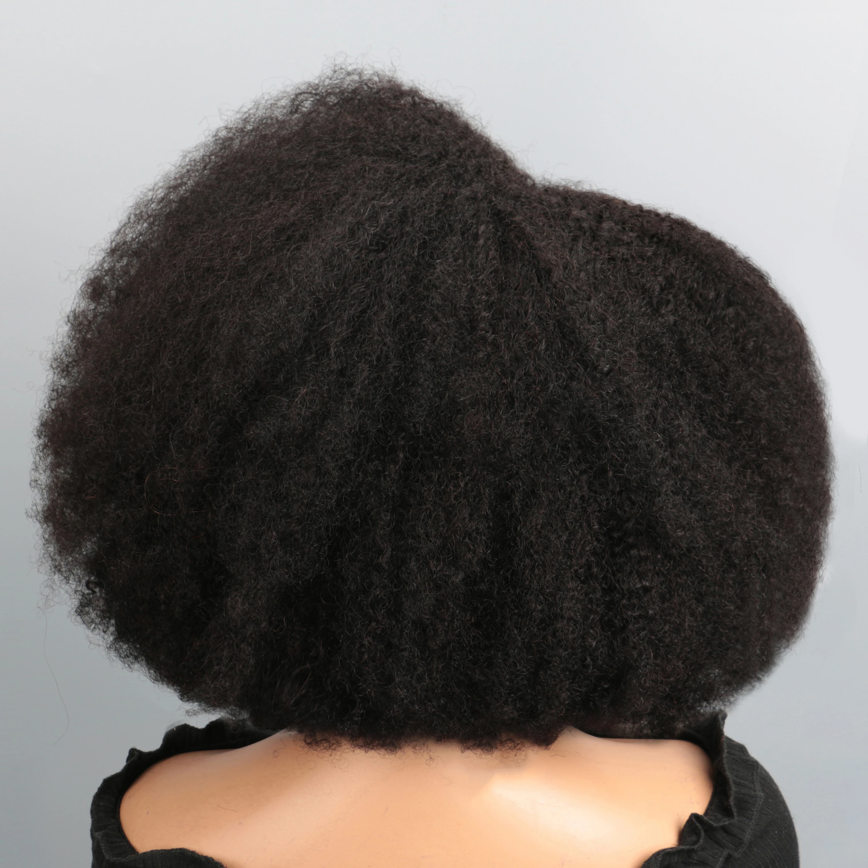 Afro Wigs for Black Women Kinky Curly Lace Front Wig Afro Short Bob Human Hair Wig 13x4x2 Lace Natural Hairline 250% Density