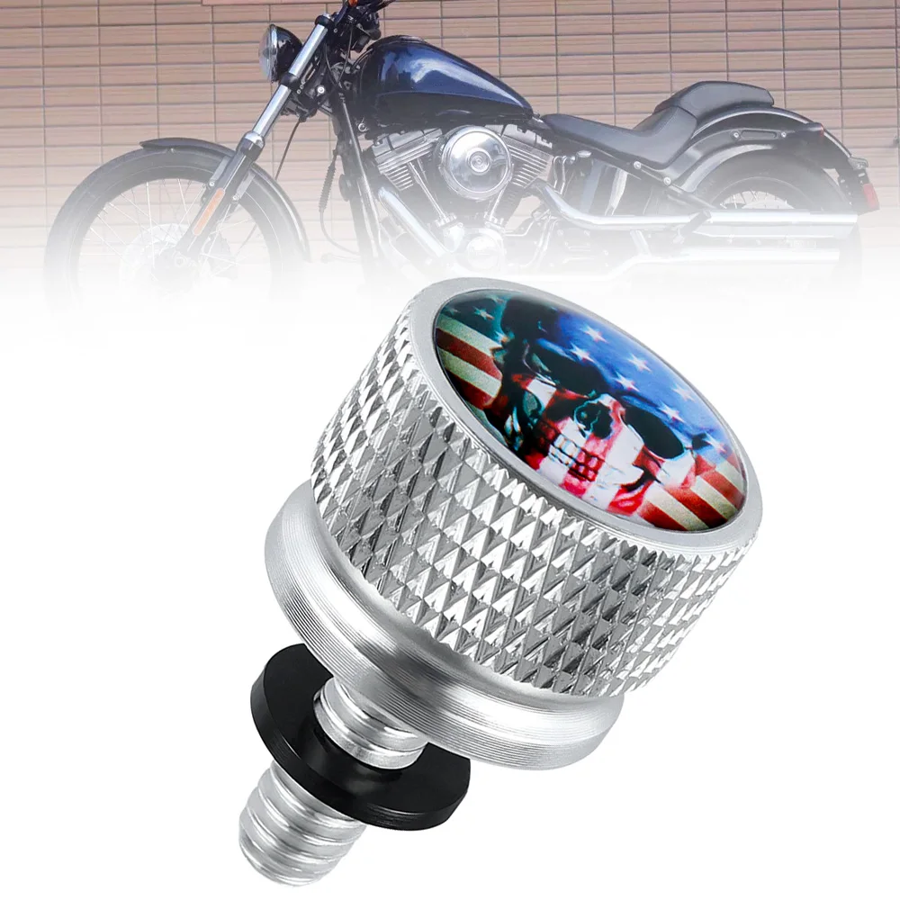 Motorcycle Accessories Rear Fender Seat Bolt Screw American Flag Chrome for Harley Electra Street Glide
