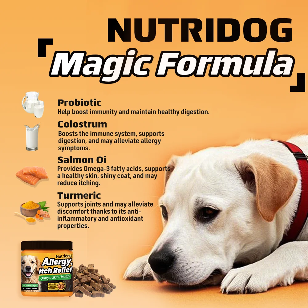 NUTRIDOG Dog Allergy Itch Relief Chews Omega-3 Vitamin C Support Skin For Dog Immune Health Supplement Nutrition 90 PCS/Bottle