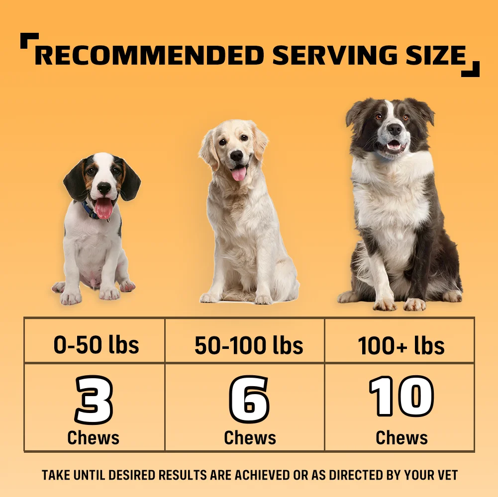 NUTRIDOG Dog Allergy Itch Relief Chews Omega-3 Vitamin C Support Skin For Dog Immune Health Supplement Nutrition 90 PCS/Bottle
