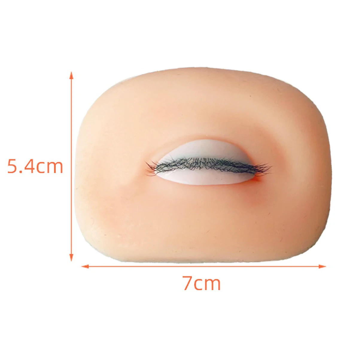 3D Eyelash Mannequin Eyesfor Eyelash Practice, Flat Doll Head, Korean Makeup Tool,False Eyelash Grafting Training Mannequin Head
