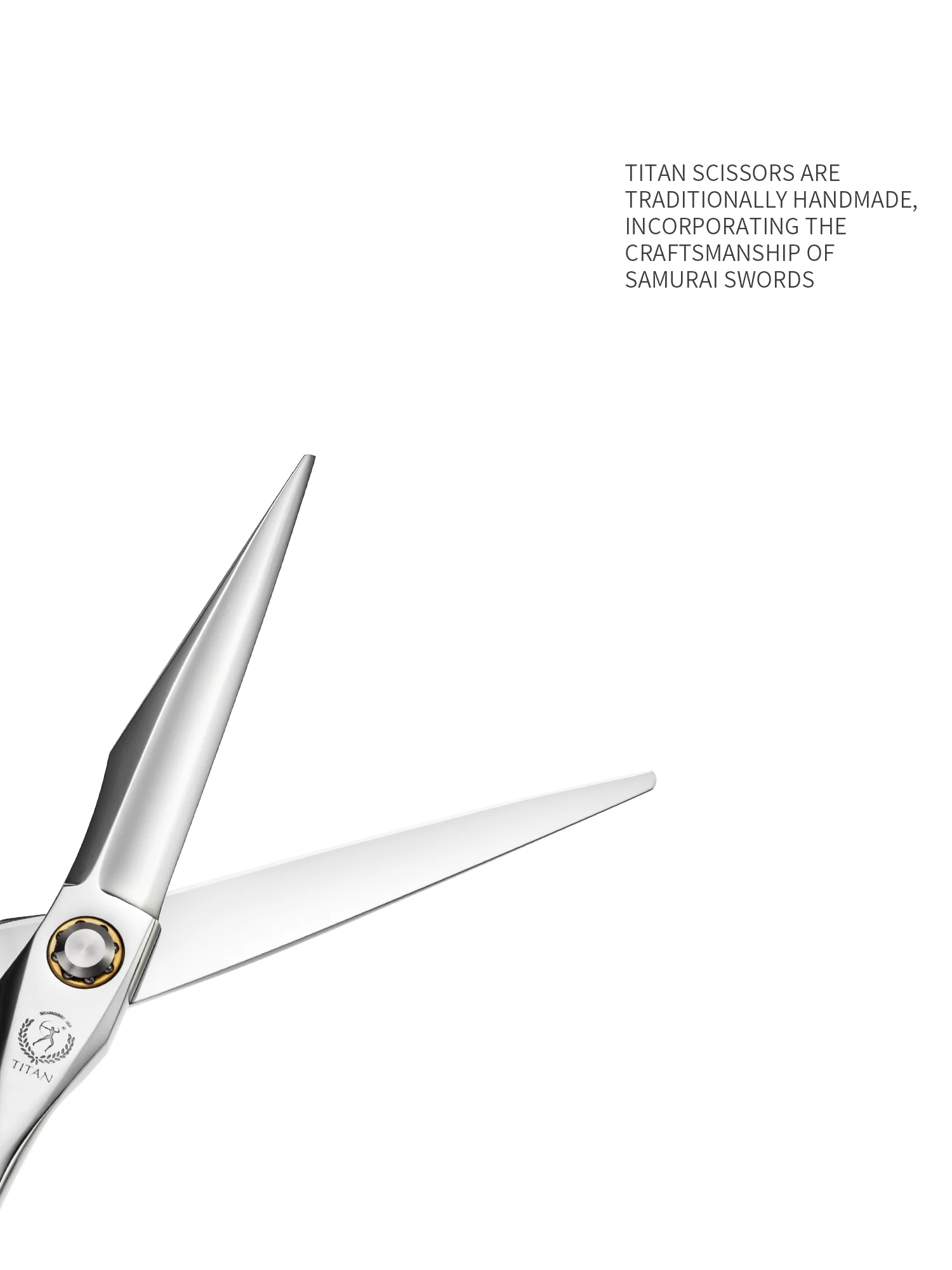Titan Original Professional Salon Scissor Barber Cut Thinning Scissors 6.0 Inch ATS314 Stainless Steel