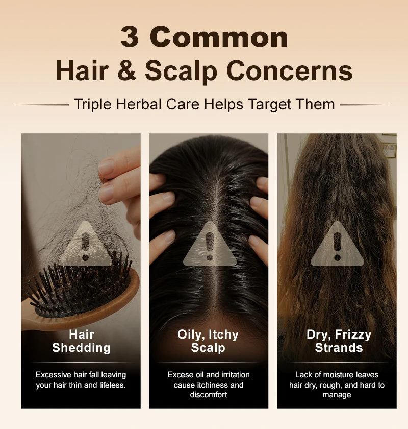 PURC 5-in-1 Ginger Herbal Scalp Care Shampoo Anti Hair Loss Strong Roots Soothe Itchy Scalp Smooth Hair Triple Herbal Formula