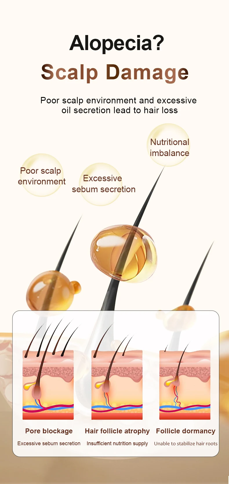 Zhang Guang 101 Ginseng Nourishing Liquid 120mlX2 Chinese Herbal Formula Anti Hair Loss Hair Regrowth Deep Moisturizing