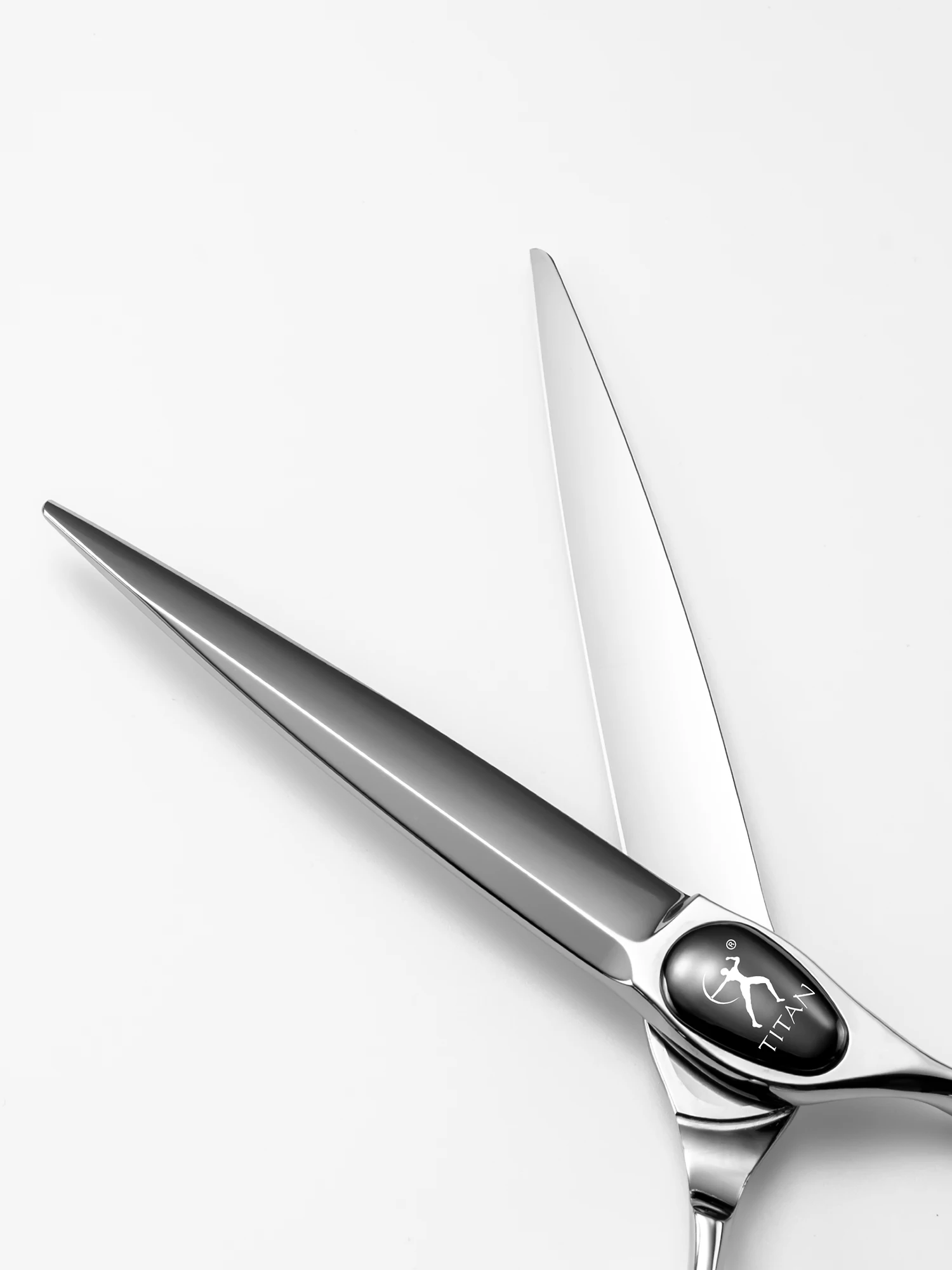 Titan Professional Hair Scissors Barber Tool for Men's Grooming And Haircutting 5.5,6.0 Shears Scissors