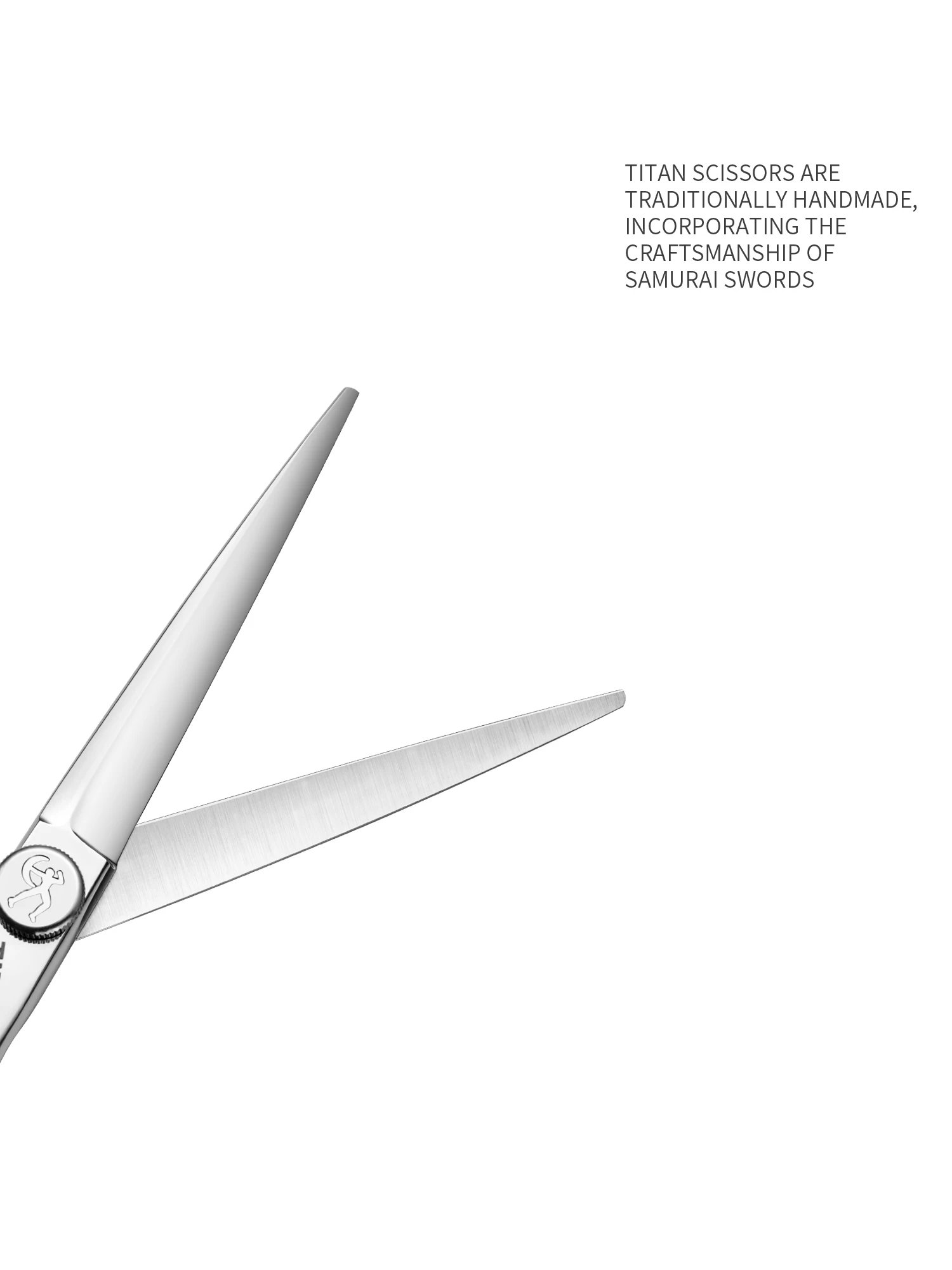 Titan 6 Inch Cut Well Hairdressing Professional Barber Hair Scissors for Hair