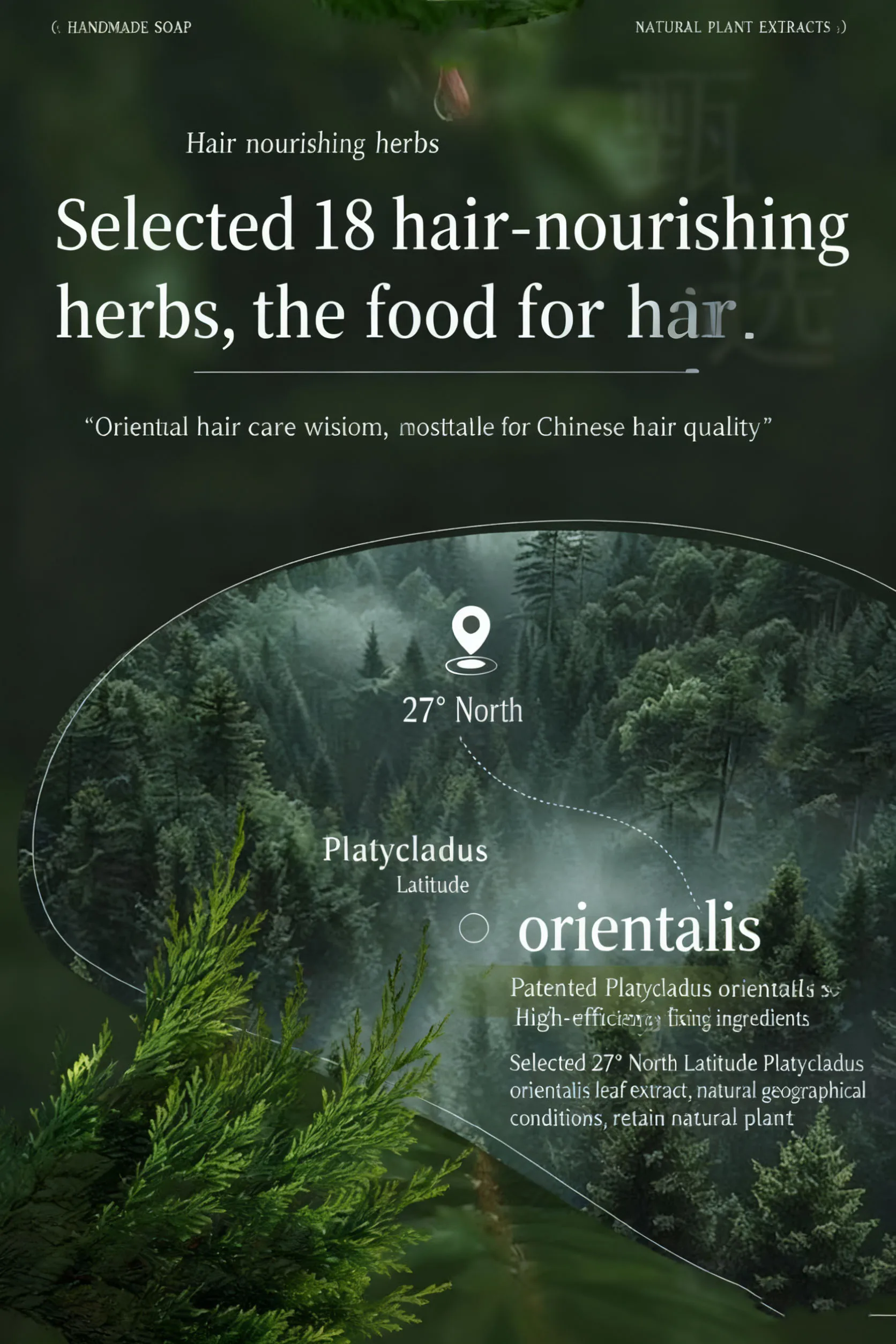 Original Seven Green Hair Product Platycladus Orientalis Leaves Usman Grass CACUMEN BIOTAE ISATIS INDICOTICA SHAMPOO Soap BAR