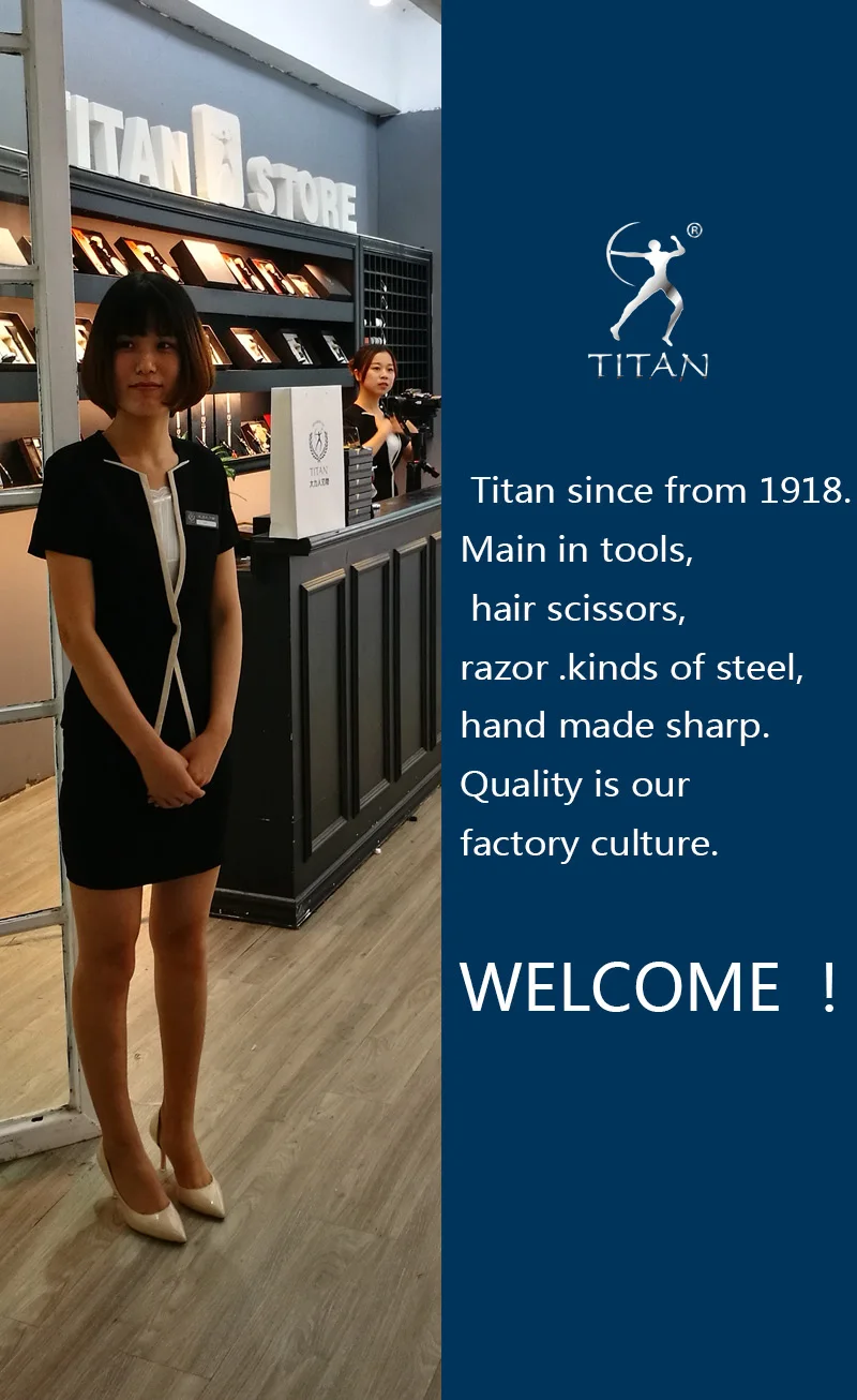 TITAN Hairdresser's Scissors Barber Scissors Professional Cutting Scissors Hair Salon Style Tool Stainless Steel