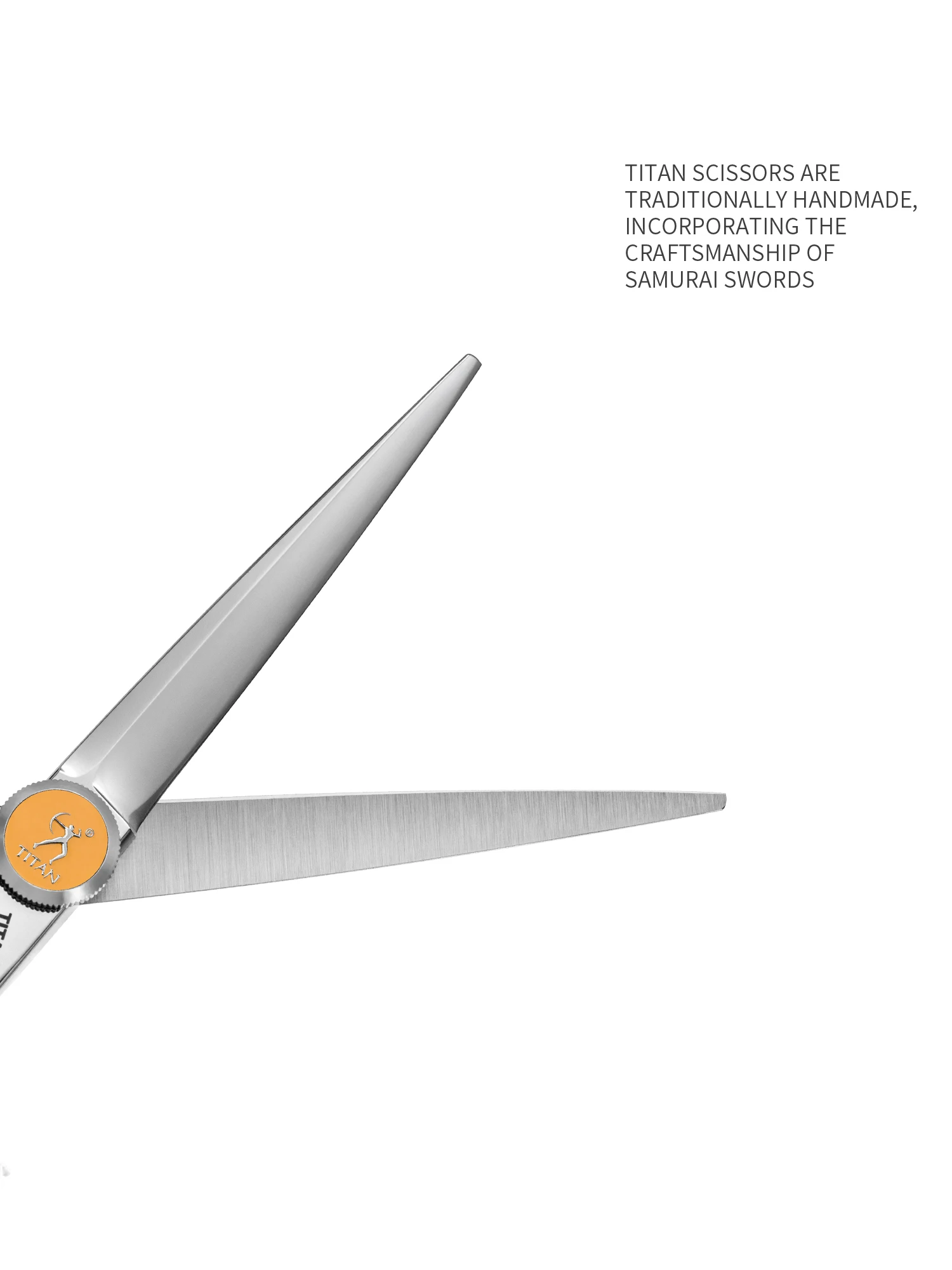 Titan Professional Hair Scissors Thinning Cutting Barber Hair Shears Scissor Hairdressing Scissors 5.5/6.0/6.5/7.0inch 440C
