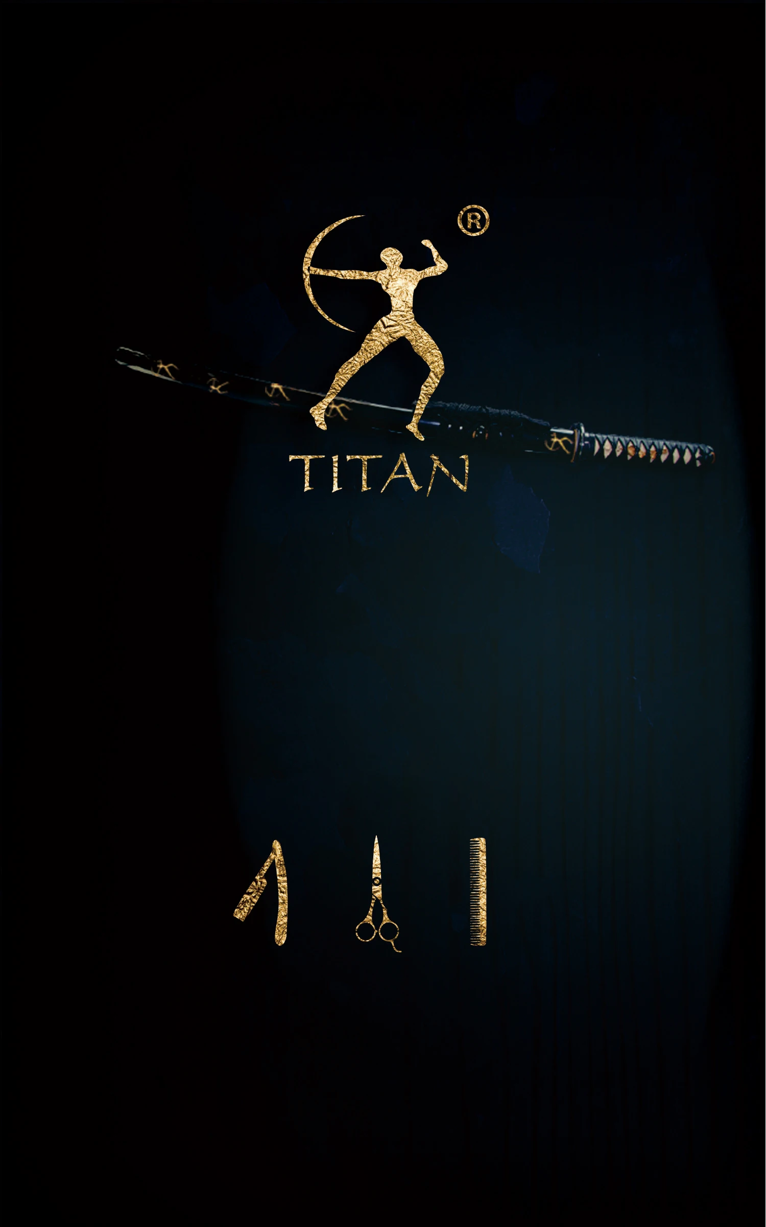 Titan Professional Hair Scissors 5.5 and 6.0 Inch Barber Scissors Cutting Thinning Scissors