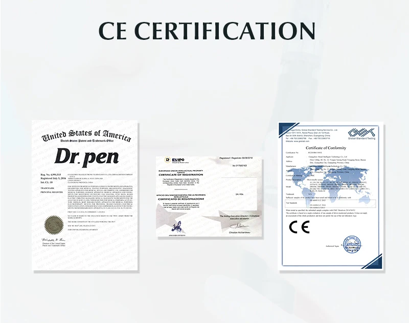 Dr. Pen H6 Cartridge 5 PCS 18 Pin 36 Pin 42 PIN Round Nano Derma Stamp Needle Support 3ML Serum 0.25 mm Needle Length