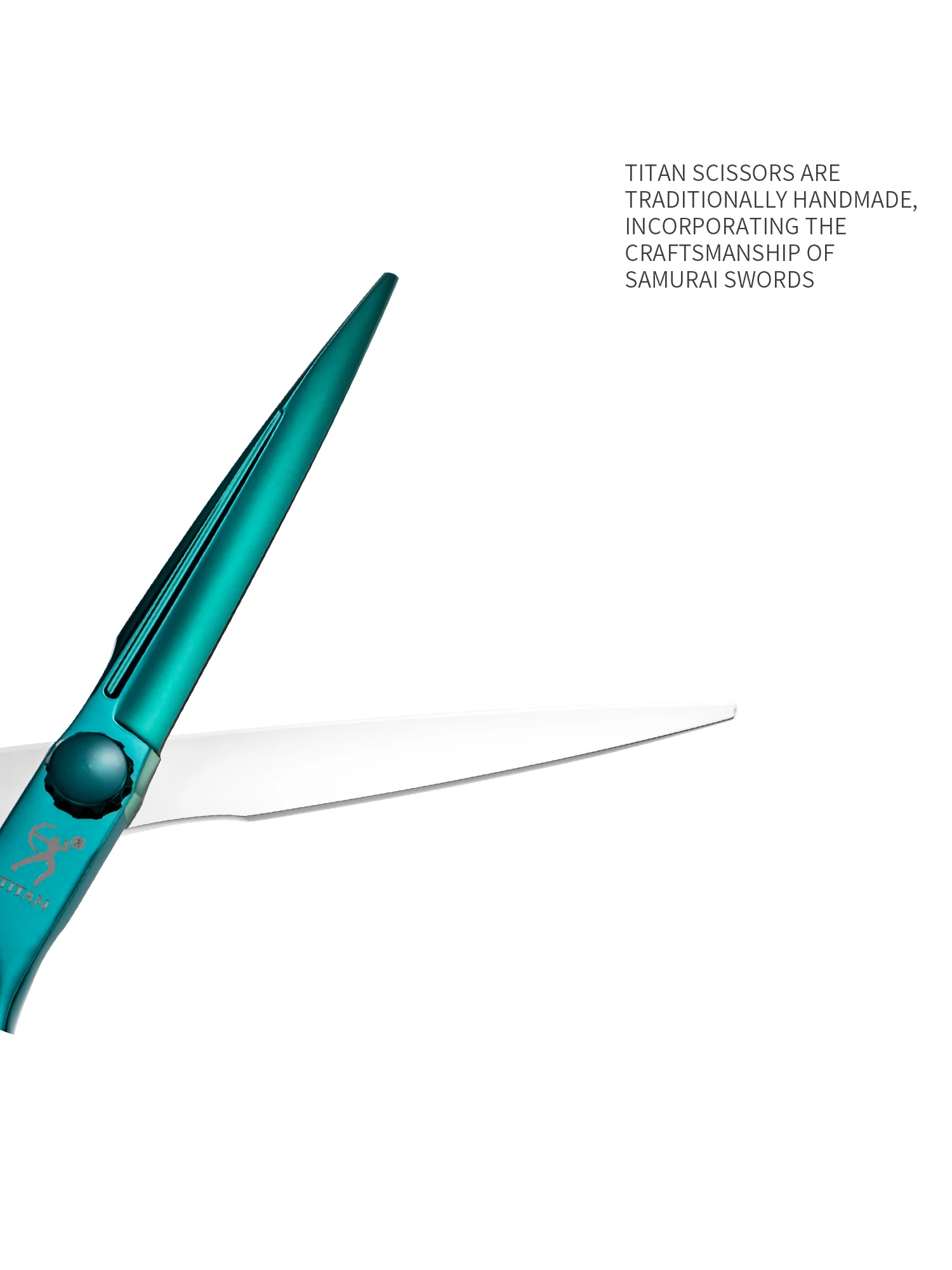 TITAN Professional Hair Scissors Barber Cutting Scissors Hairdressing Shear Salon ToolsATS314 Stainless Steel