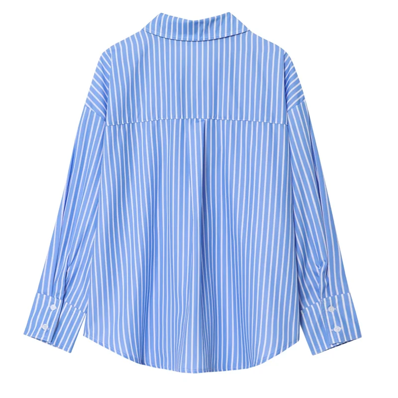 HXAO 2025 Woman Blouses Long Stripe Shirts Women Spring Summer Long Sleeve Blue White Shirt Woman Large Tops Button Up Shirts