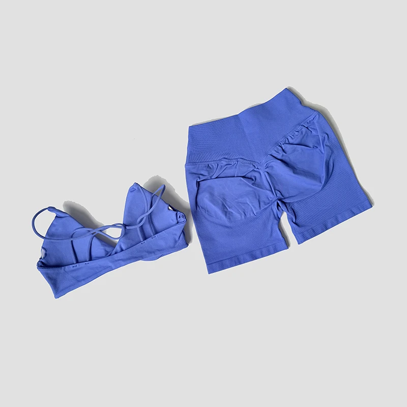 WAREBALL 2 Pcs Gym Set Women Vision Twist Front Bra V Neck Cross Waist Quick Dry Shorts Suit Pilates Workout Running Fitness Set