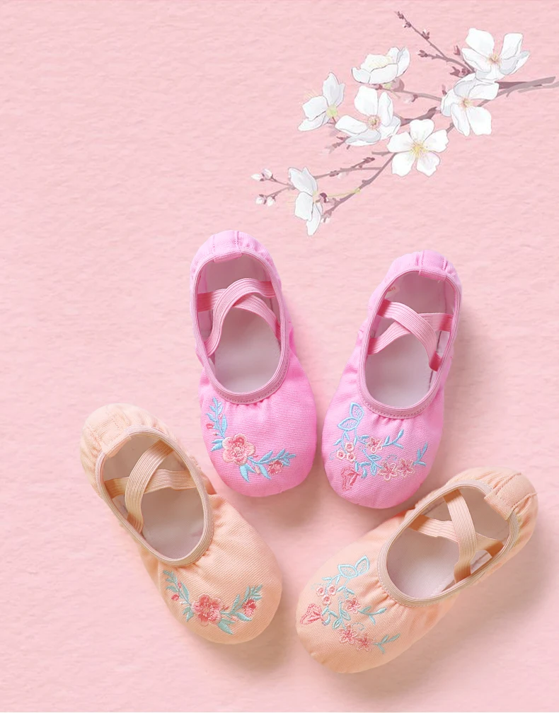 Girls Embroidered Ballet Shoes women Soft Dance Shoes for Training Performance Non-Slip Ballerina Shoes Professional Dance Flats