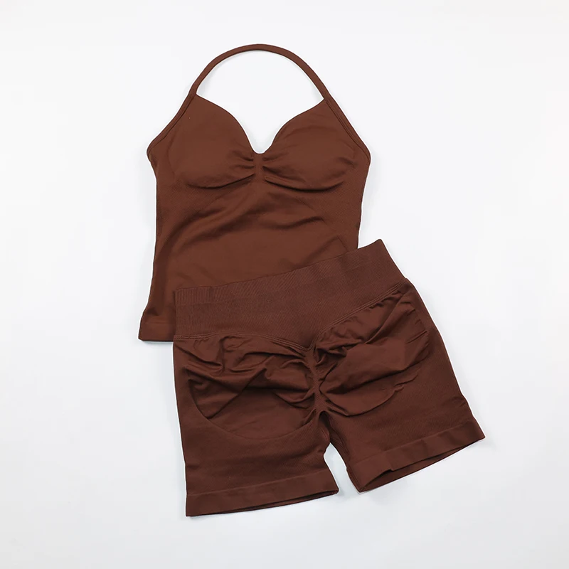 2 Piece Gym Set Woman Backless Halter Tank Top Seamless Booty Shorts Sports Suit Yoga Clothing Active Wear Women Workout Sets