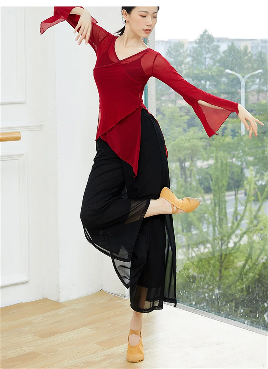 Modern Dance Pants For Women Mesh Nylon Loose Wide Leg Dancing Trousers Chinese Classical Dance Daily Ladies Yoga Pants