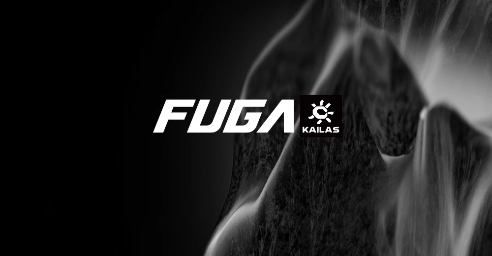 KAILAS FUGA EX3 Trail Running Shoes New Arrival Unisex Lightweight Athletic Anti-slip Breathable Mountain Running Shoe KS2613132