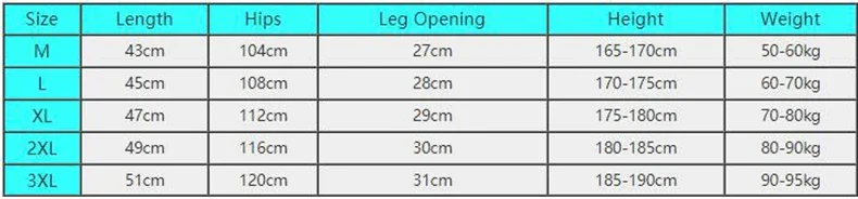 Men's Gym Shorts Man Training Pants Short Homme Running Singlet Summer Sportswear Fitness Wear Marathon Sports Mens Crossfit Mma