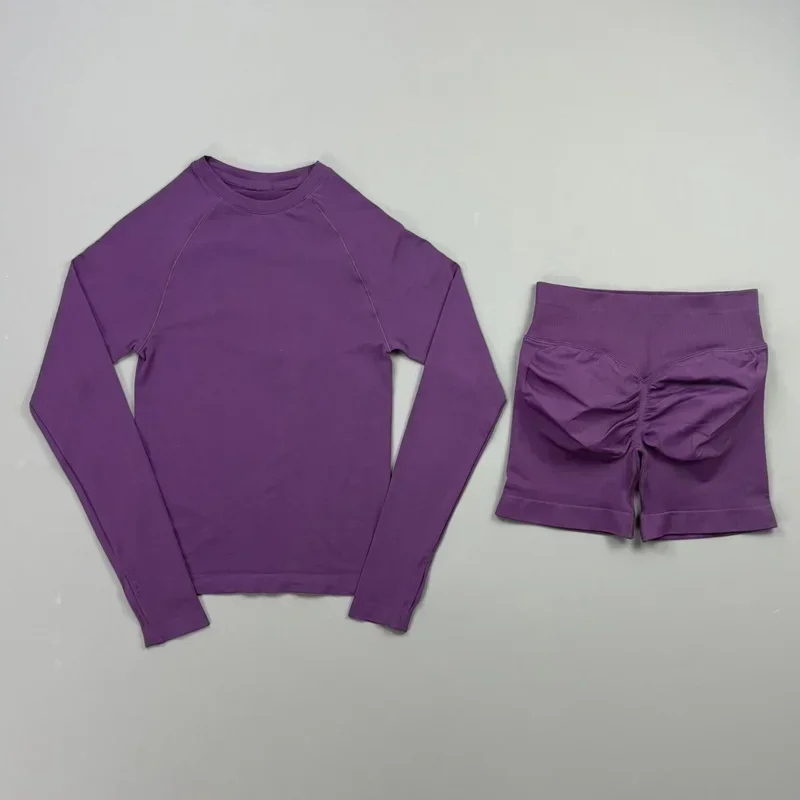 2 Piece Gym Set Women Yoga Crew Neck Long Sleeve Top Butt Lifting Seamless Shorts Soft Lightweight Pilates Daily Fitness Outfit
