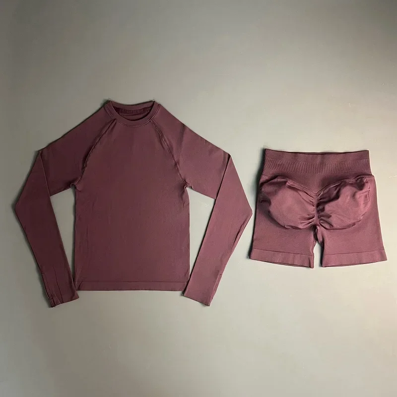 2 Piece Gym Set Women Yoga Crew Neck Long Sleeve Top Butt Lifting Seamless Shorts Soft Lightweight Pilates Daily Fitness Outfit