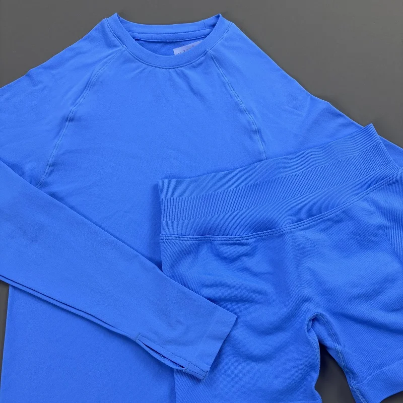 2 Piece Gym Set Women Yoga Crew Neck Long Sleeve Top Butt Lifting Seamless Shorts Soft Lightweight Pilates Daily Fitness Outfit