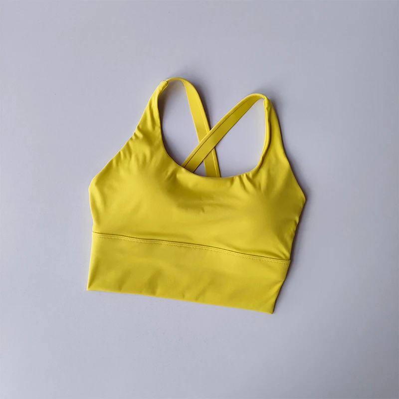 Seamless Sports Bra Collection Breast High-intensity Professional Shock-proof Huddle Running Bra Yoga Fitness Bra Summer Cloth