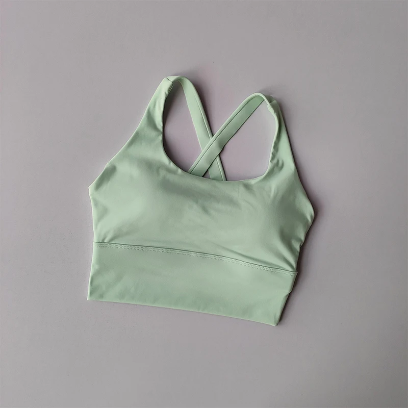 Seamless Sports Bra Collection Breast High-intensity Professional Shock-proof Huddle Running Bra Yoga Fitness Bra Summer Cloth