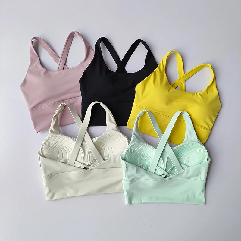 Seamless Sports Bra Collection Breast High-intensity Professional Shock-proof Huddle Running Bra Yoga Fitness Bra Summer Cloth