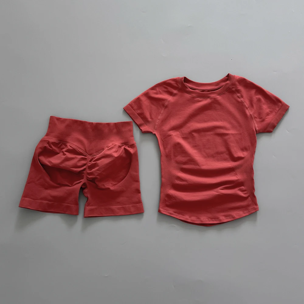Sports Sets Short Sleeve Seamless Yoga Top Fitness Set Women Workout Running Sports Shorts Gym Suit 2 Pieces