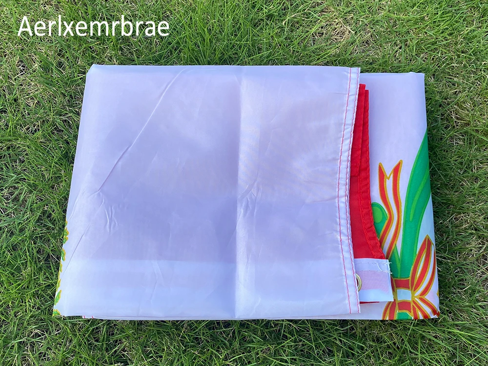 Aerxemrbrae Flag 150x90cm Per PE Peru Flag