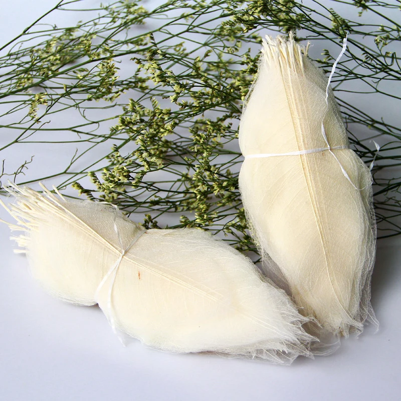 YOMDID 50Pcs /bag White Color Natural Skeleton Leaf Dry Leaves Scrapbooking Girl Diy Material for Christmas Home Decorative