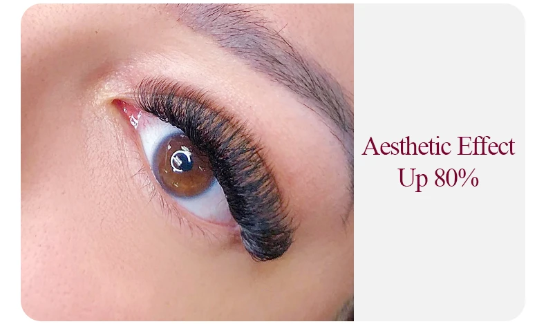 H&L SINCE 1990 Easy Fan Lashes Volume Extensions 7-20mm Fast Blooming Flowering Pre-bonded Lashes Natural Cilia Silk Lashes