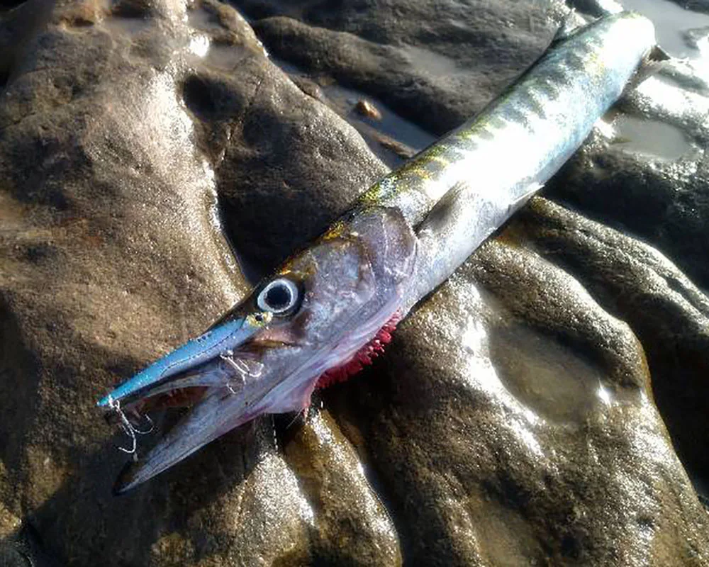 VIB Fishing Lure 20g 25g 30g Metal Jig Sinking Big Blade Long Cast Treble Hooks Spinner Spoon VIBRATION Tackle Pesca Hard Bait