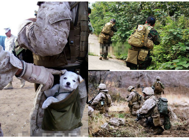 Pinpointing Metal Detector Find Bag Multi-purpose Digger Tools Bag for PinPointer Detector Xp Pack Mule Pouch