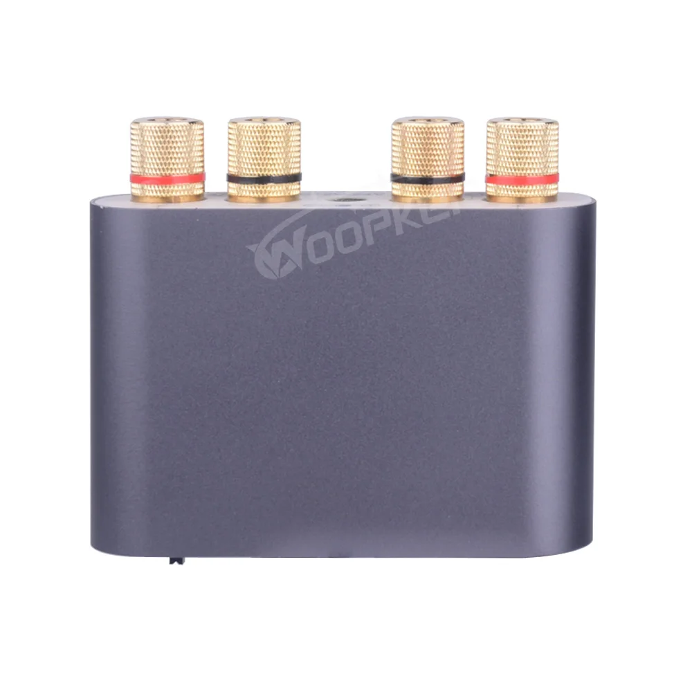 Woopker Digital Audio Amplifier X24 Tpa3116 50Wx2 Hifi Stereo Home Audio Receiver Power AMP Bluetooth 5.0 Sound Amplifiers