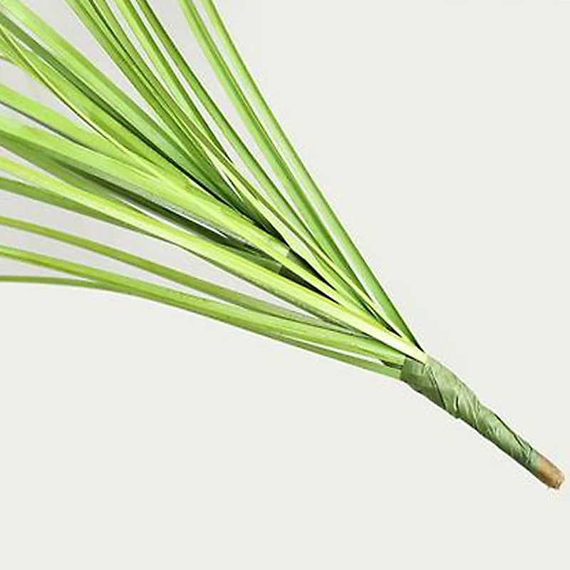 Fake Plant Simulated Onion Grass Diy Pseudograss Garden Decoration Plant Pot Fairy Garden Miniatures Home Decoration