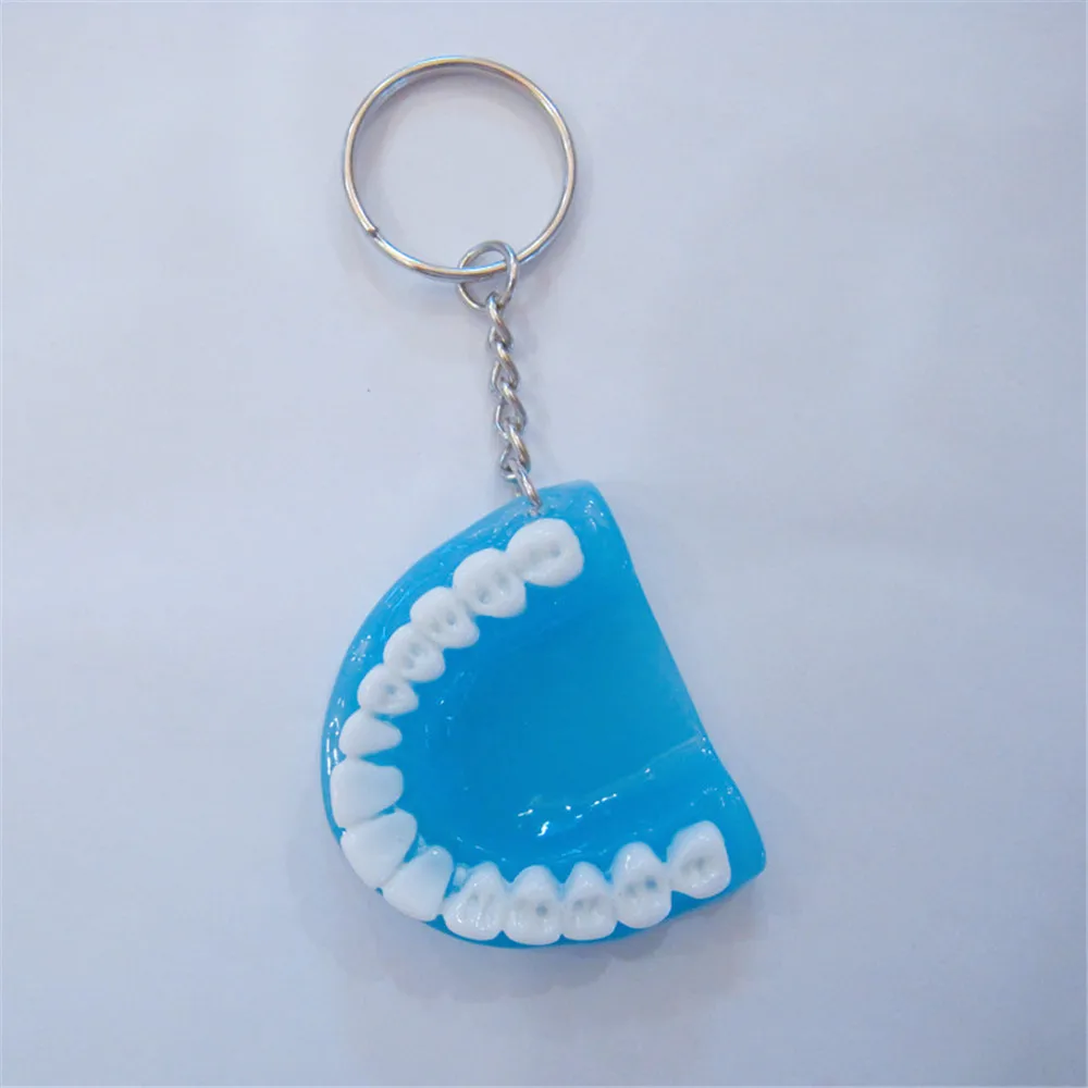 Fashion Creative Tooth Key Chain Resin Molar Upper Jaw Model Shape Denture Keychains Pendant Keyring Jewelry Gift 2023 New