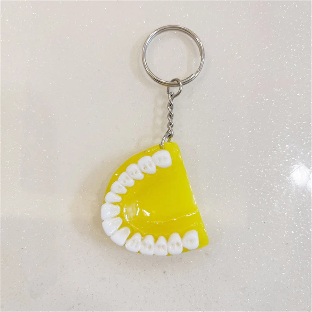Fashion Creative Tooth Key Chain Resin Molar Upper Jaw Model Shape Denture Keychains Pendant Keyring Jewelry Gift 2023 New