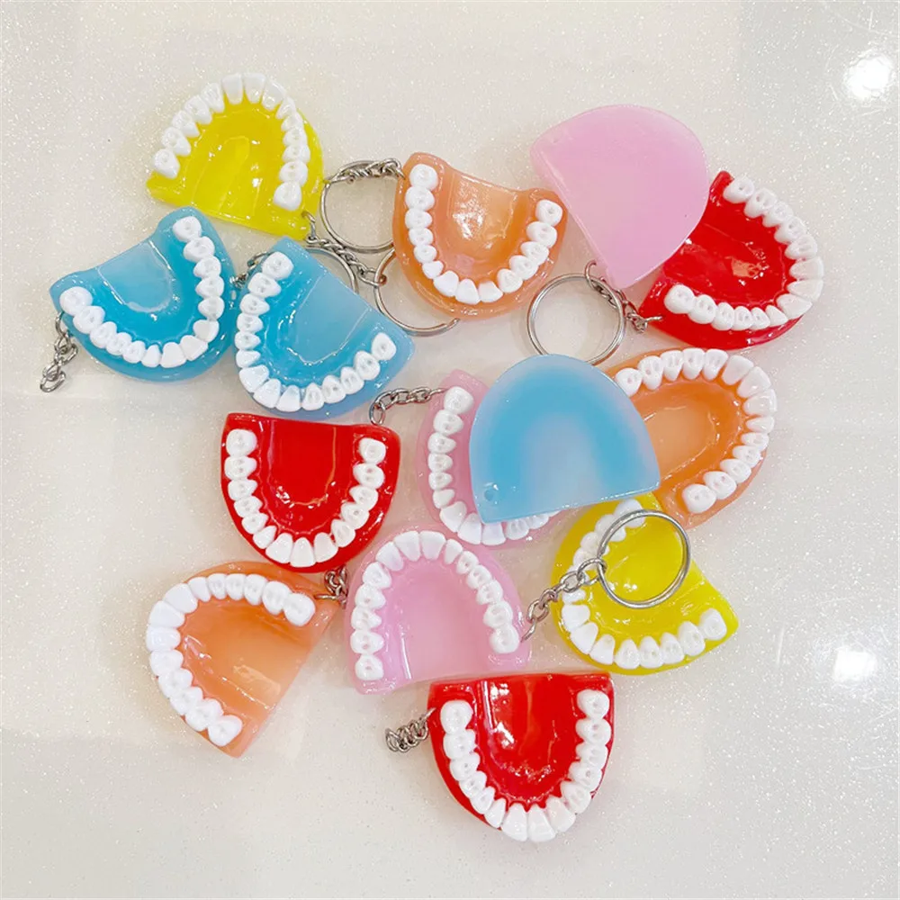Fashion Creative Tooth Key Chain Resin Molar Upper Jaw Model Shape Denture Keychains Pendant Keyring Jewelry Gift 2023 New