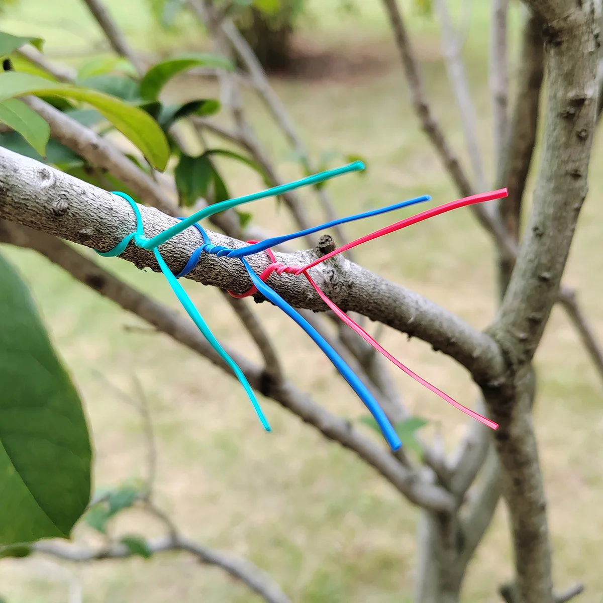 100PCS Gardening Cable Ties Reusable Oblate Iron Wire Twist Tie for Flower Plant Climbing Vines Multifunction Coated Fix Strings