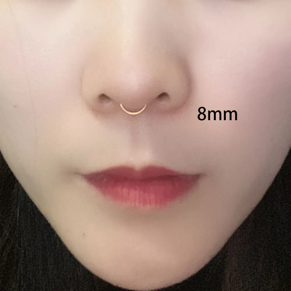 2PCS Stainless Steel Women Clip Earring Lips Rings Nose Ring Septum Falso Clip On Mouth Ring Fake Piercing Body Clip Hoop