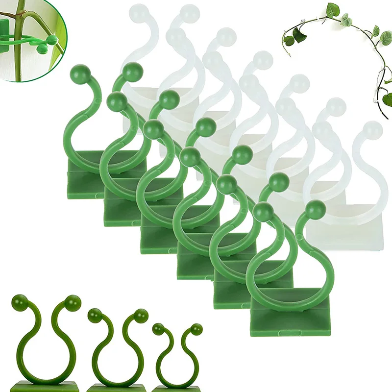 Invisible Wall Rattan Clamp Plant Climbing Wall Clips Self-Adhesive Plant Fixator Vine Buckle Hook Rattan Fixed Clip Bracket