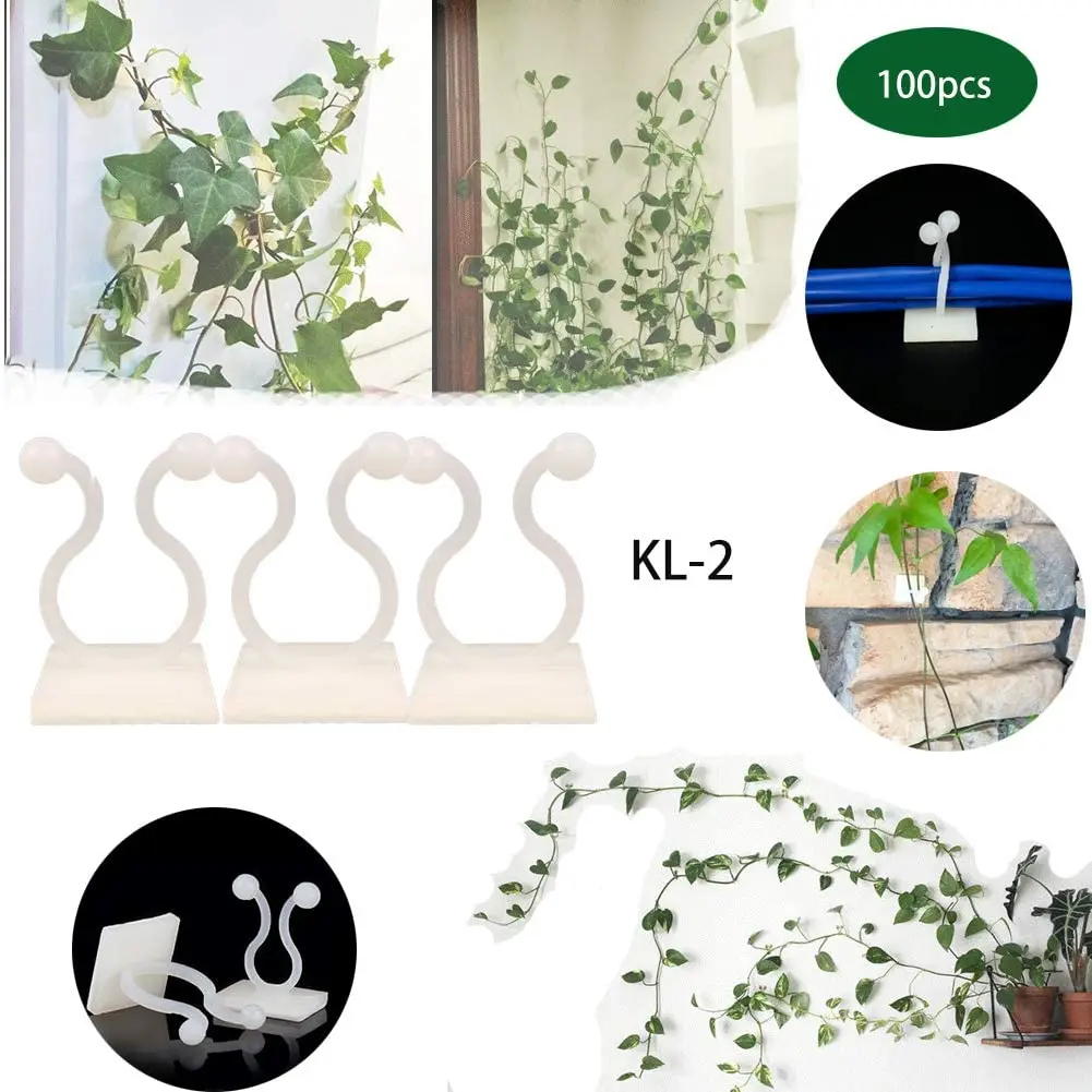 Invisible Wall Rattan Clamp Plant Climbing Wall Clips Self-Adhesive Plant Fixator Vine Buckle Hook Rattan Fixed Clip Bracket