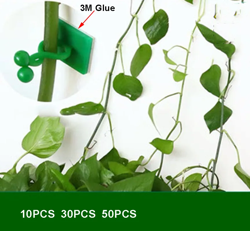 Invisible Wall Rattan Clamp Plant Climbing Wall Clips Self-Adhesive Plant Fixator Vine Buckle Hook Rattan Fixed Clip Bracket