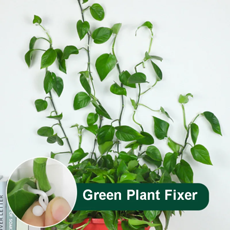 Invisible Wall Rattan Clamp Plant Climbing Wall Clips Self-Adhesive Plant Fixator Vine Buckle Hook Rattan Fixed Clip Bracket