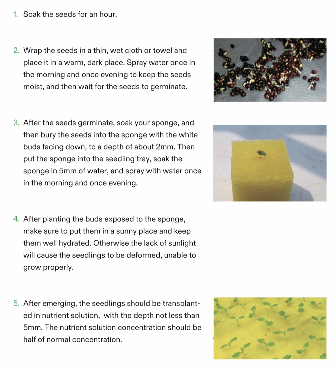 Food-grade hydroponic grow kit soilless cultivation 108 planting points for garden Vegetable Tool