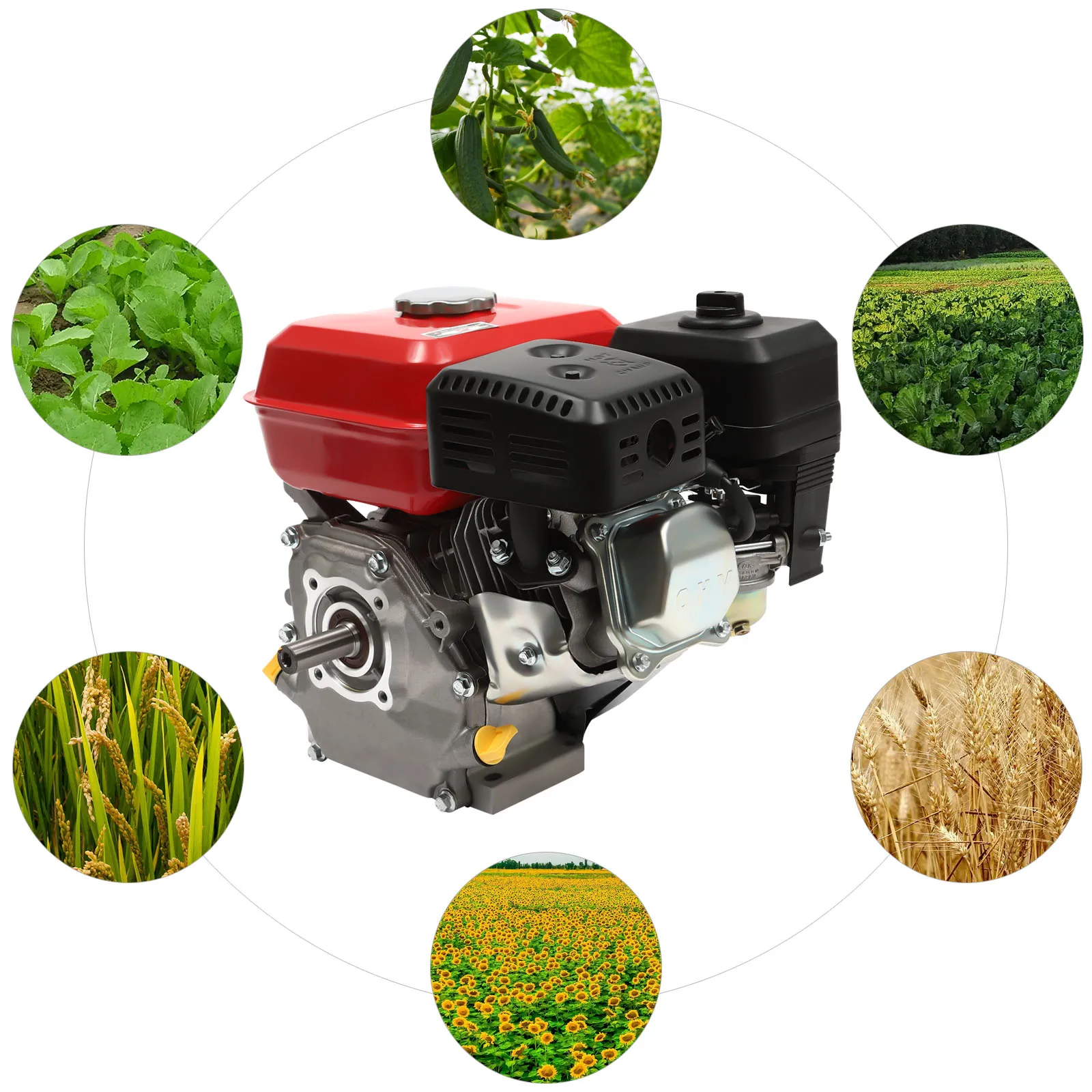 4 Stroke Petrol Gasoline Engines 1 Cylinder Air Cooling 7.5HP Kart Engine Strong Power Rotavator Pressure Washer Engine 5100W/40