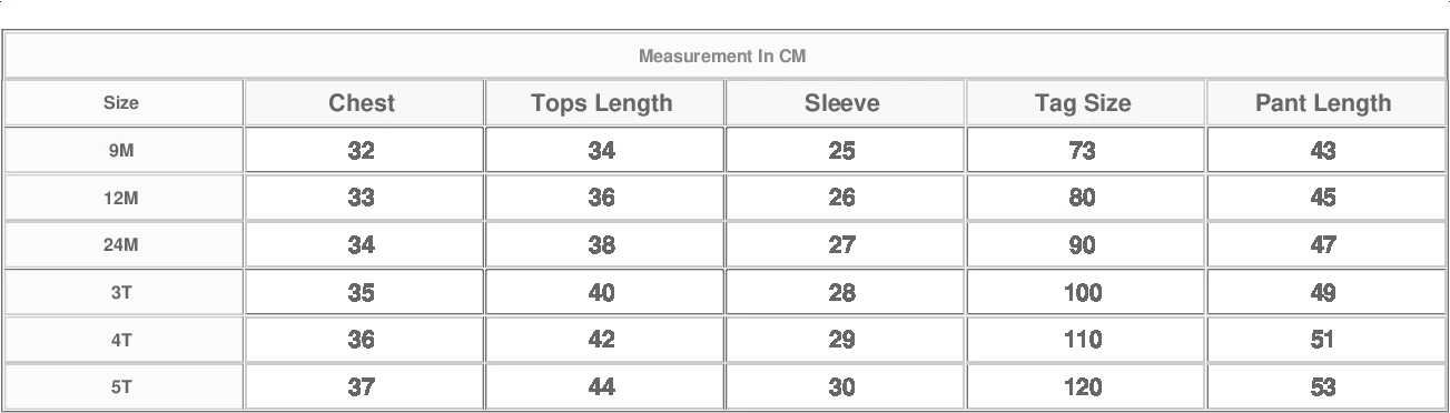 New Toddler Boys Clothes Set Outfit Children Warm Fleece Swearshirt Baby Girls Pullover Tops + Pants Suit 2pcs Kids Clothing Set