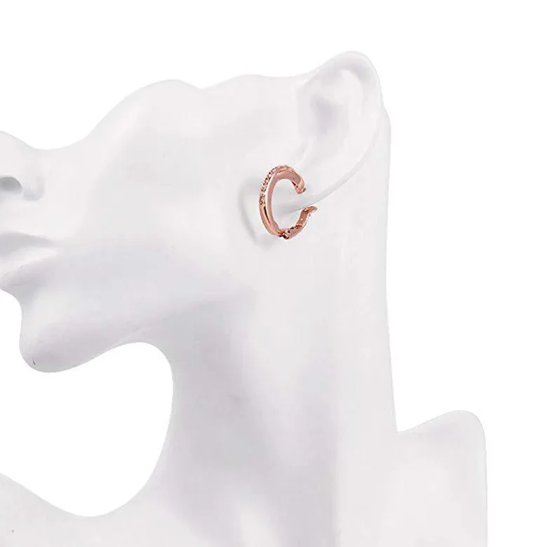 New 925 Sterling Silver Earrings Inlaid Zircon Earrings 14K Rose Gold Earrings For Women'S Charm Jewelry Gift